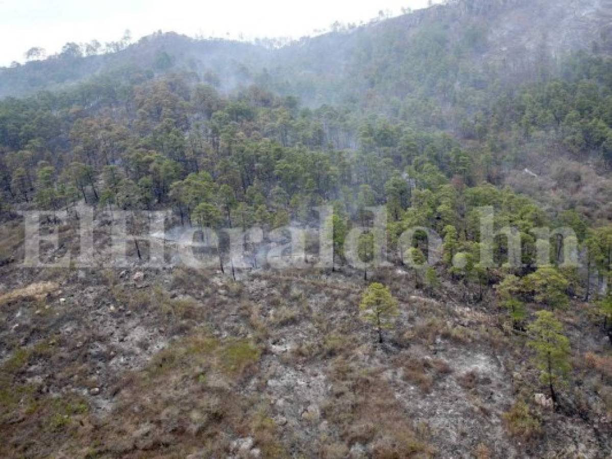 Extinguido en su totalidad incendio que consumió unas 400 hectáreas de bosque en El Hatillo