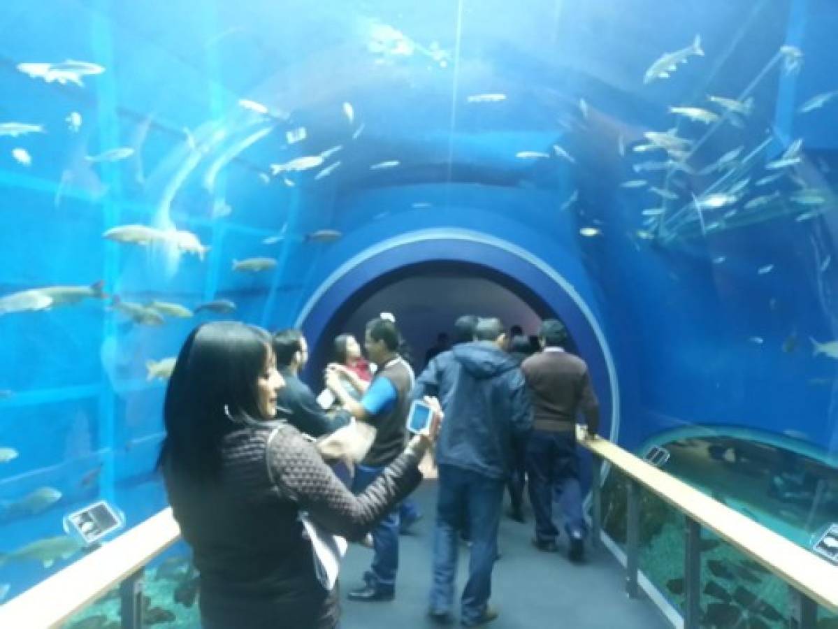 En el lago Biwa también se acondicionó un museo para difundir el cuidado del depósito de agua y la conservación de su ecosistema.