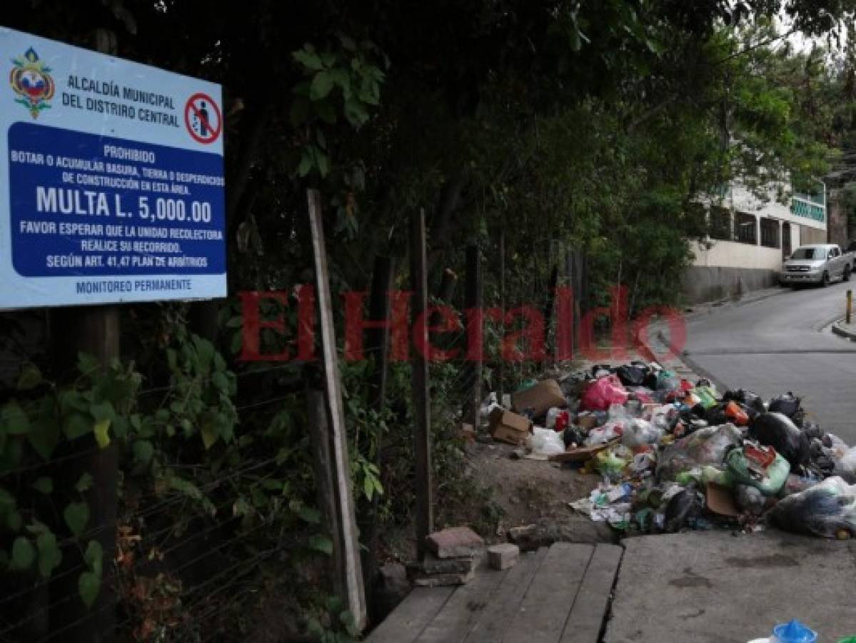 Persisten los botaderos de basura en la colonia Los Llanos de Tegucigalpa