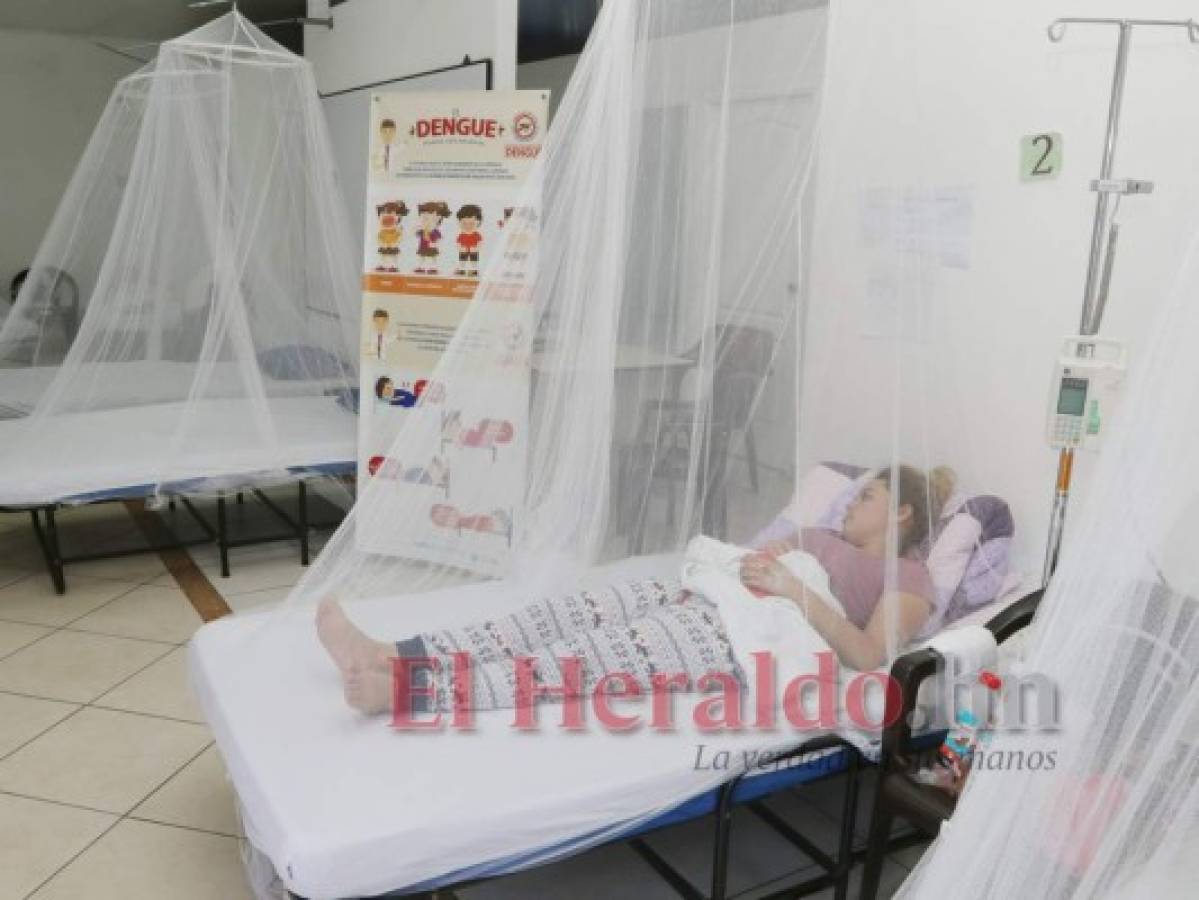 A 151 sube la cifra de muertes por dengue grave en Honduras