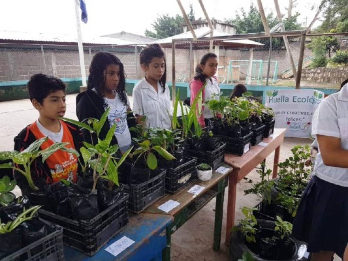 La Víctor F. Ardón crea empresa para cuidar el ambiente