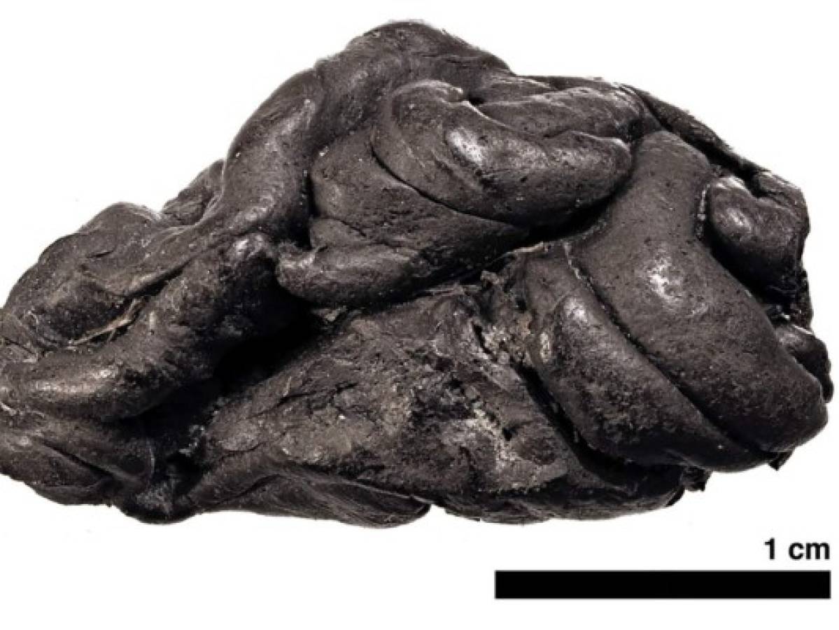 Hallan 'chicle' de 5,700 años mascado por mujer de ojos azules y piel oscura