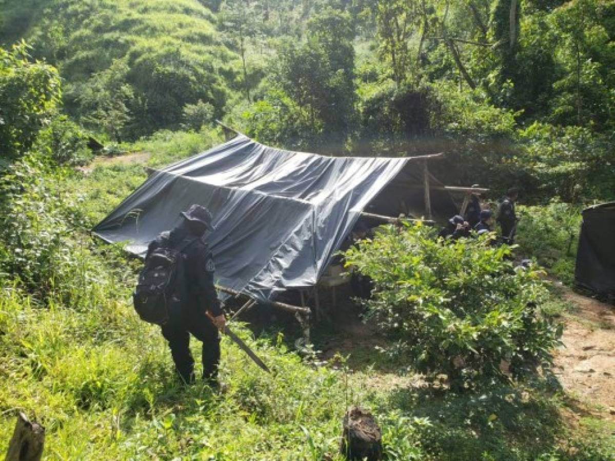 Hallan narcolaboratorio en zona montañosa de Colón