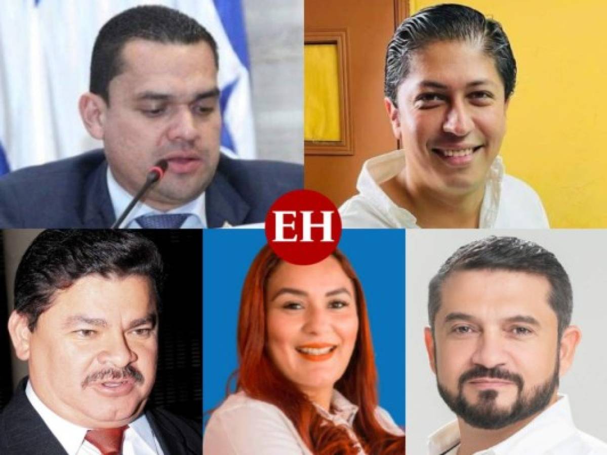 Los elegidos en Choluteca y Valle para representar la Zona Sur en el Congreso Nacional