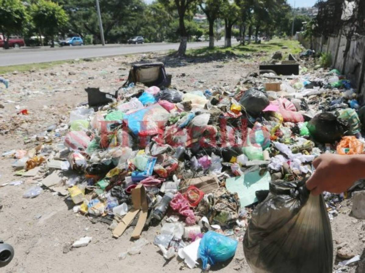 Tener un contenedor en la colonia Continental es como esperar que llueva en verano  