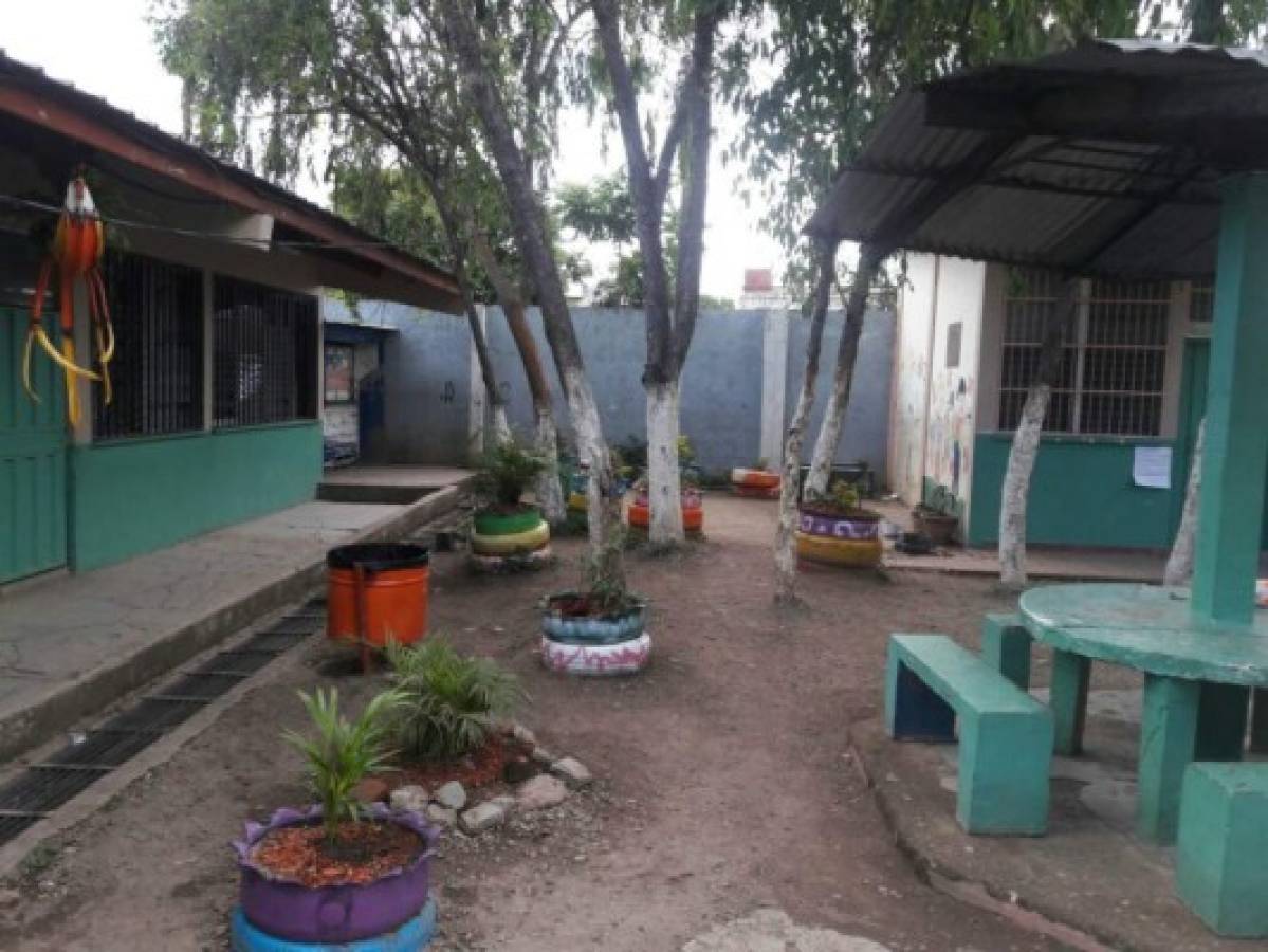 CEB San Miguel de Heredia recupera el huerto escolar en la capital