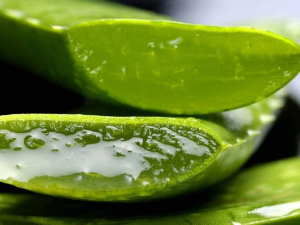 Nutritiva y el secreto de belleza mejor guardado: beneficios del aloe vera