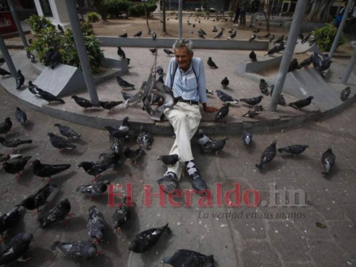 Los señores lucen tranquilos, aún con la contingencia de salud a nivel mundial. Foto Johny Magallanes| EL HERALDO