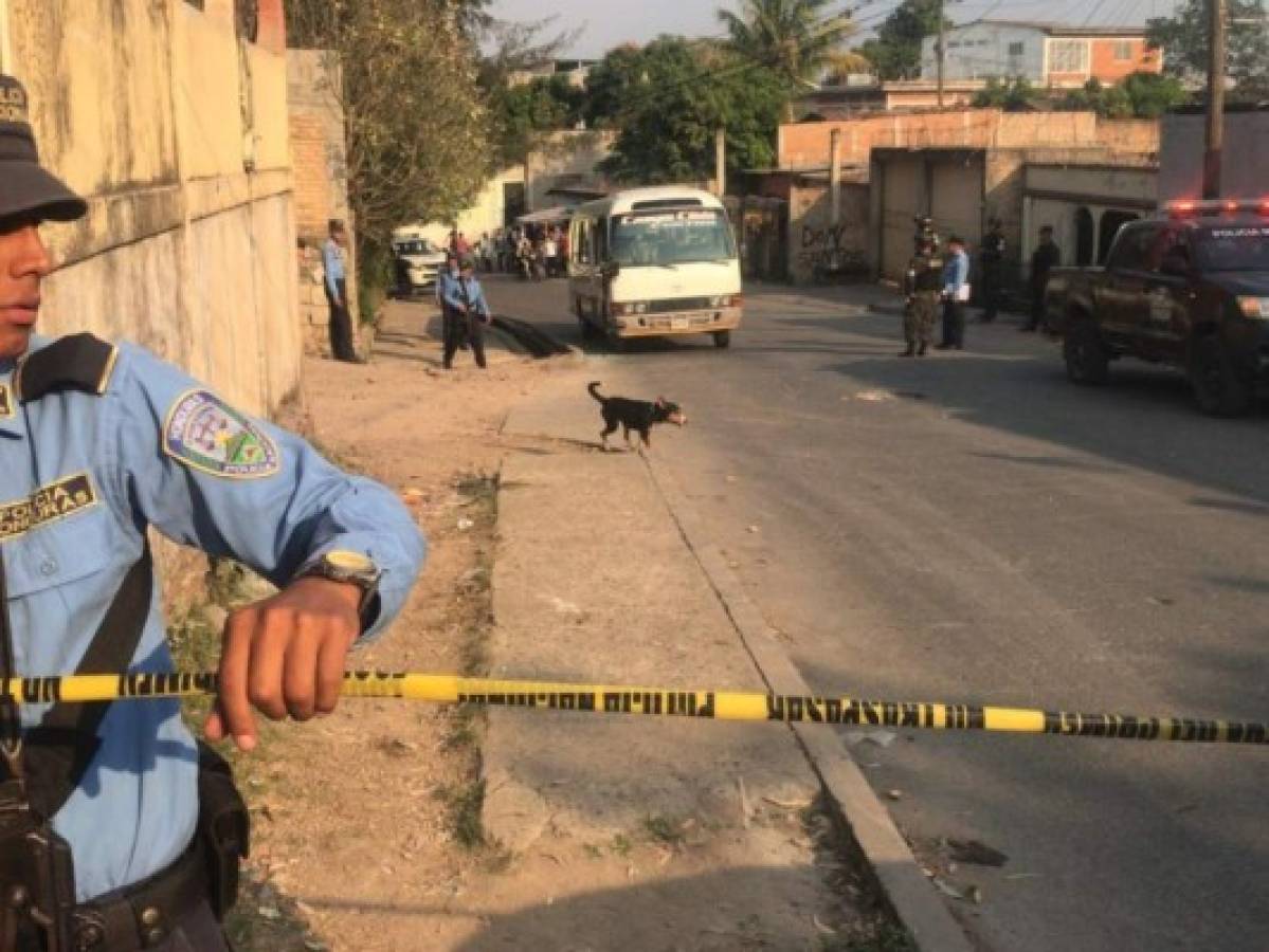 El primer hecho se registró en la colonia Flor No. 1.