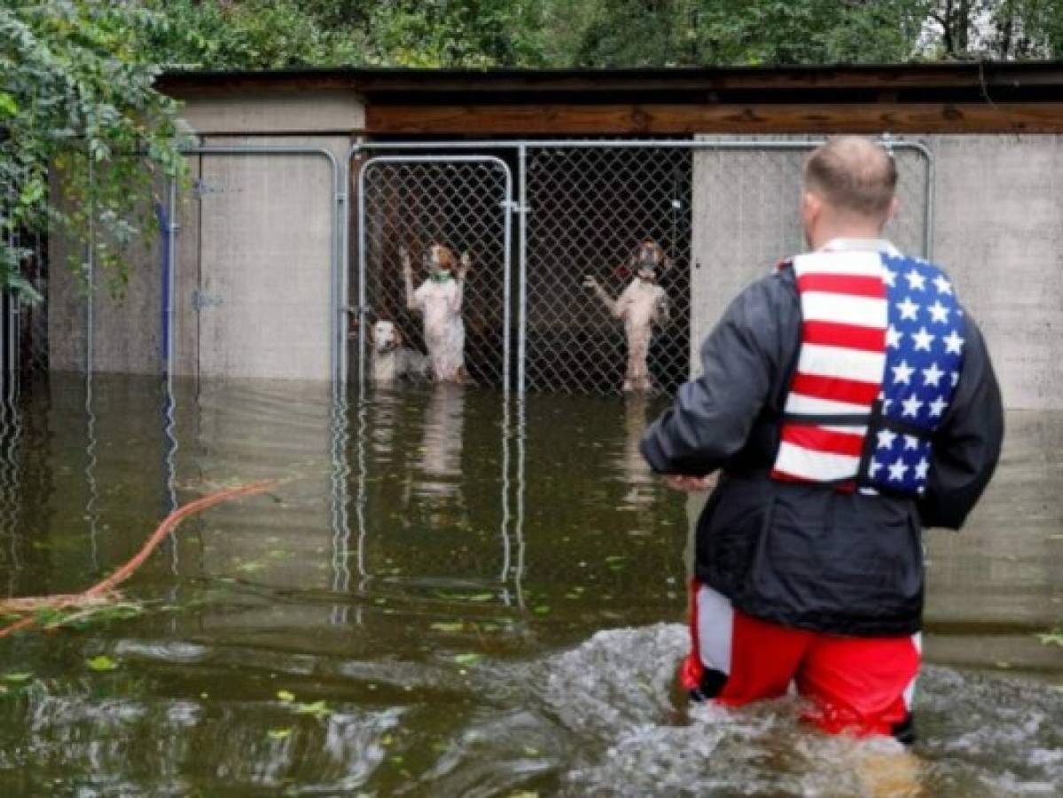 El rescatista Ryan Nichols fue el encargado de abrir la reja de donde los perros salieron desesperados y fueron llevados a una zona verde que no había sido arrasada por la inundación.