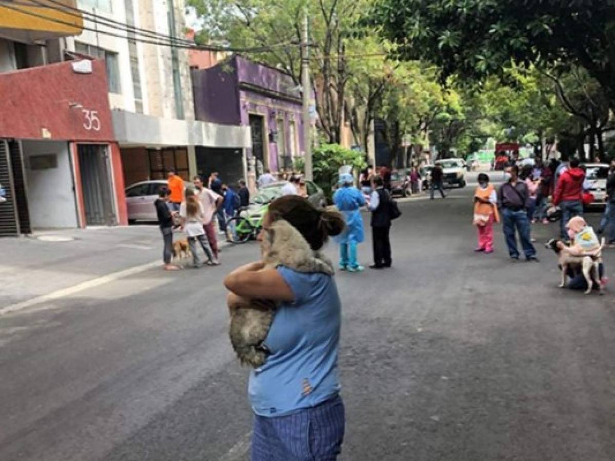 VIDEO: Momentos de angustia viven mexicanos durante potente sismo