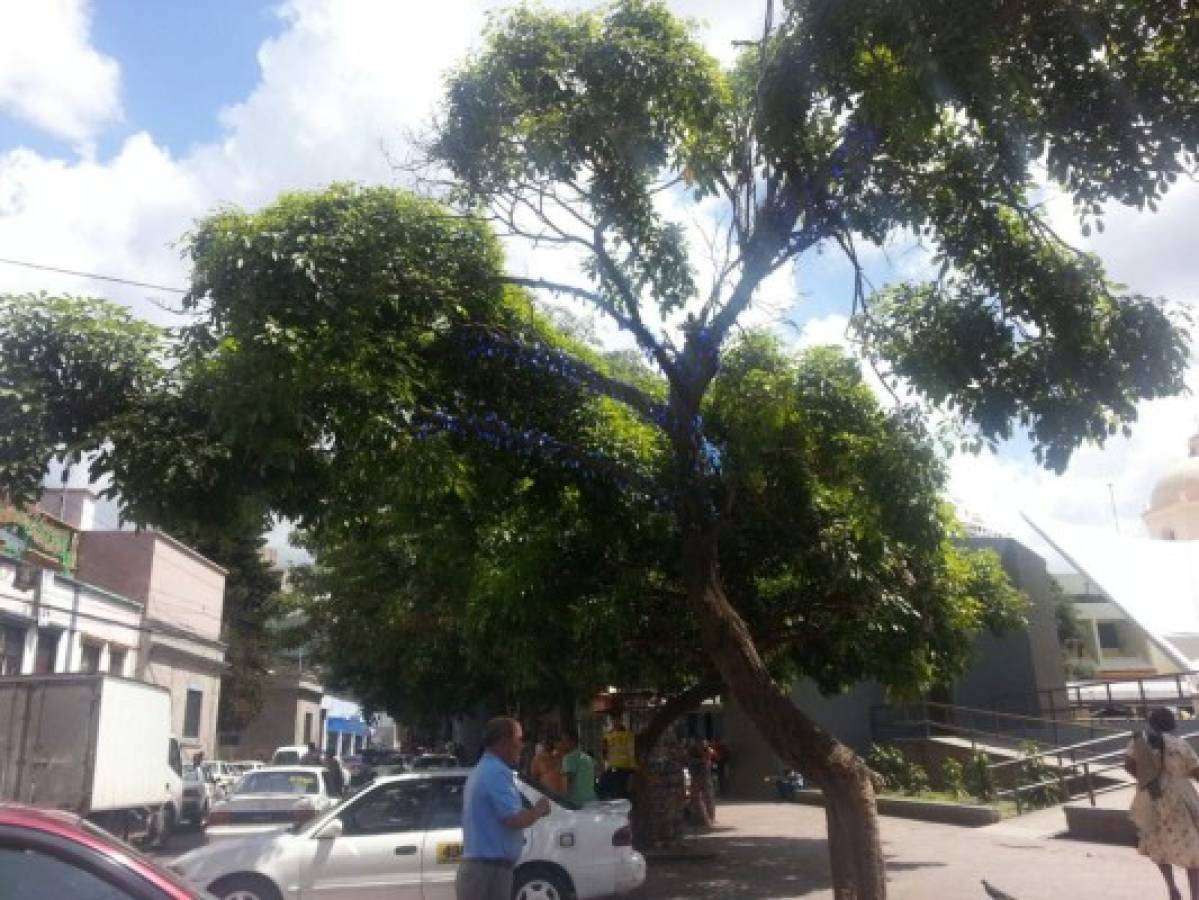 Alcaldía prepara Villa Navideña en Tegucigalpa  