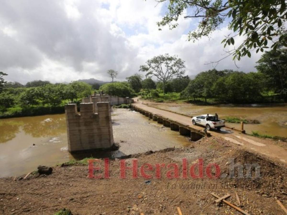 EL HERALDO evidenció que a pesar de que las aperturas están prohibidas y el ICF no otorga permisos, en algunas zonas se construyen puentes para cruzar ríos e internarse en la selva tropical. Foto: Jhony Magallanes/El Heraldo