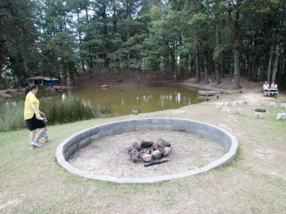 Cinco joyas ecológicas ofrece la capital para disfrutar en verano