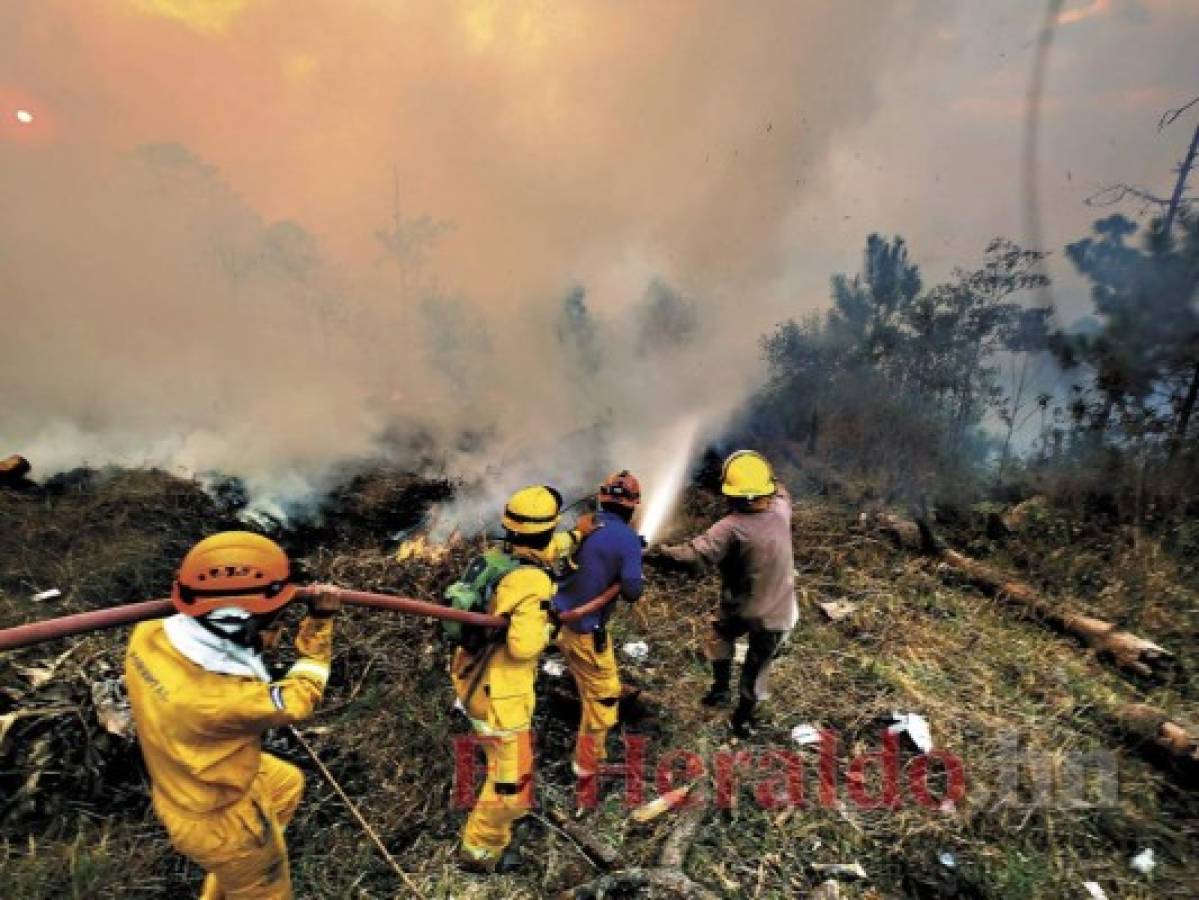 Fiscalía hondureña indaga de oficio 74 incendios forestales   