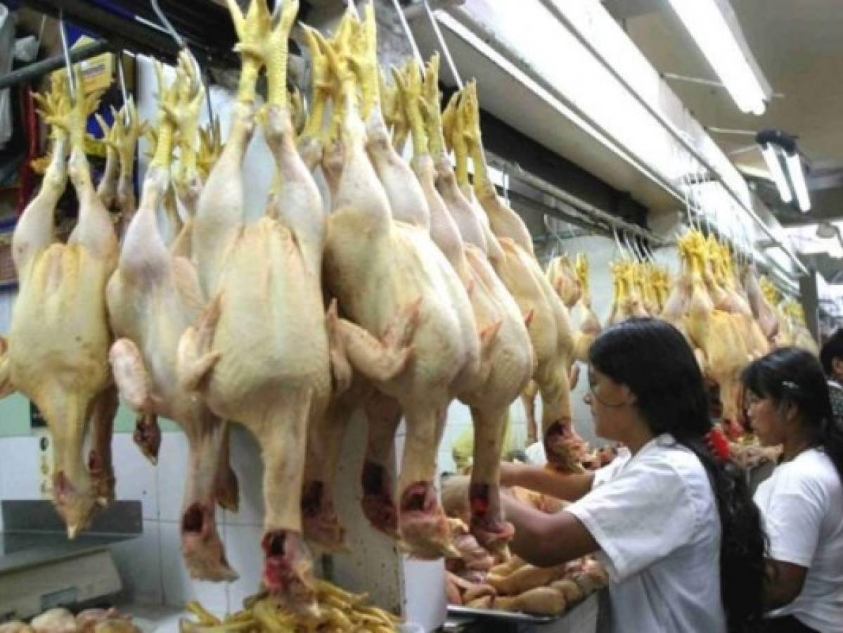 Honduras: Listo el laboratorio especializado para garantizar el peso del pollo