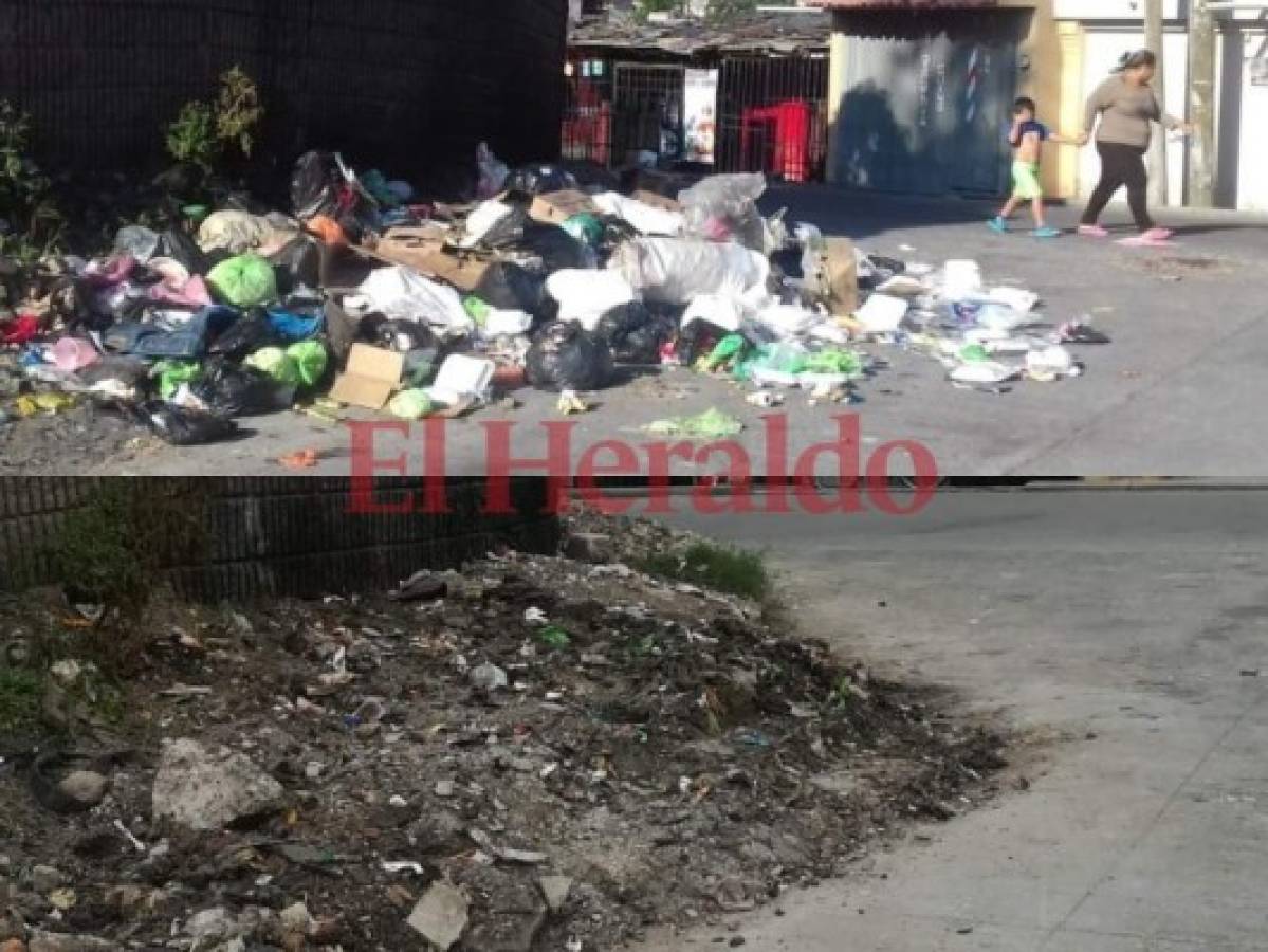 Retiran un cerro de basura de la colonia Las Torres de la capital de Honduras  