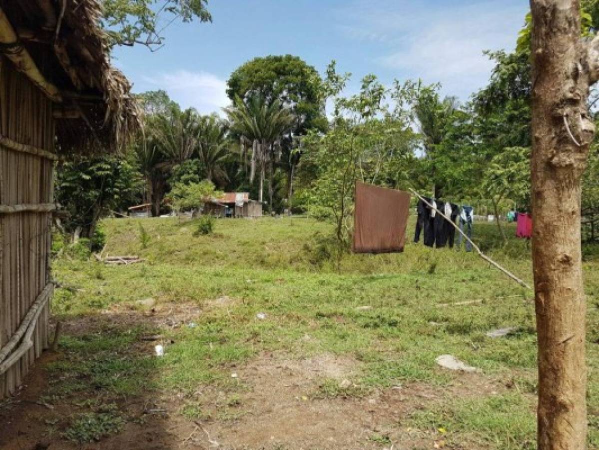 Honduras: Continúan incautaciones a socio de los Cachiros