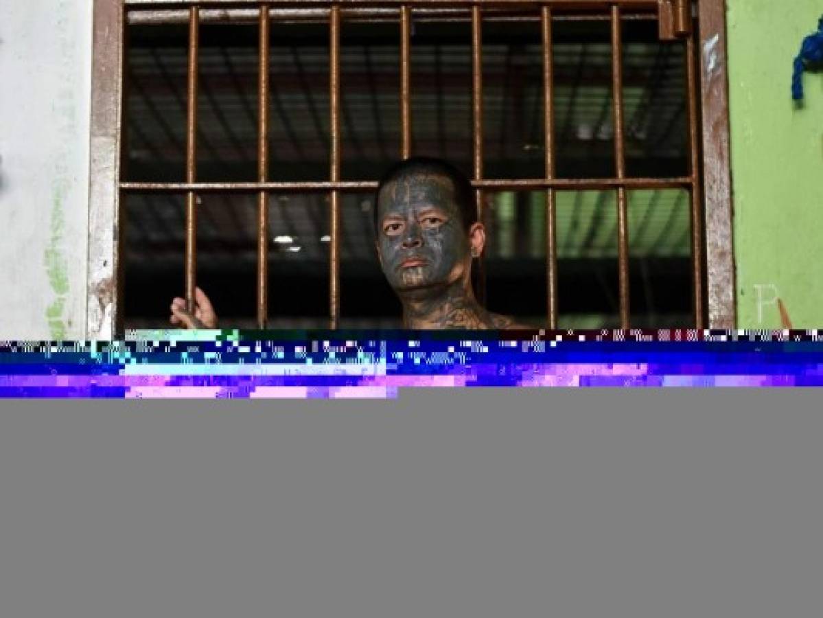 Un exmiembro de la pandilla MS-13 aparece en la prisión de Santa Ana, a 60 km al noroeste de San Salvador. Los pandilleros dicen estar dispuestos a soportar el dolor para borrarse los tatuajes. Fotos. Agencia AFP.