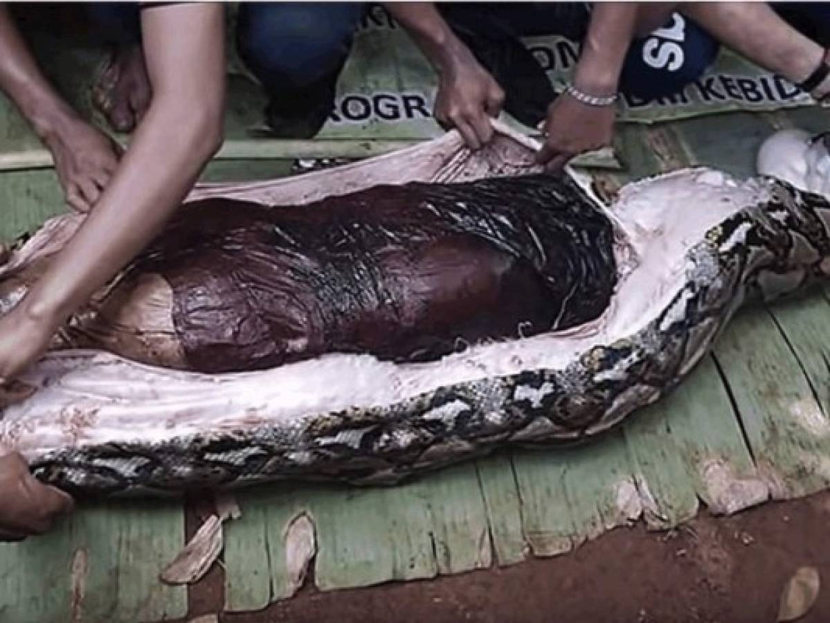 El cadáver de Wa Tiba, de 54 años, fue encontrado por los lugareños de Persiapan Lawela, en la isla indonesia de Mun.