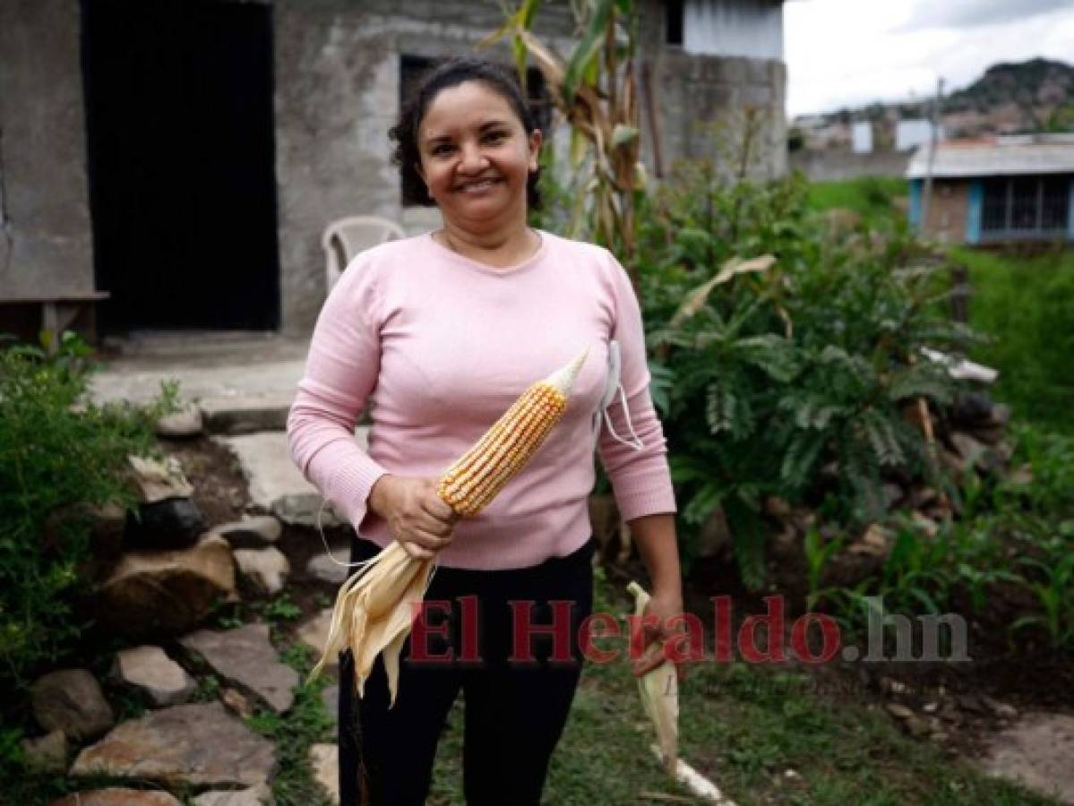 Una prolífica cosecha en el patio de doña Lorena