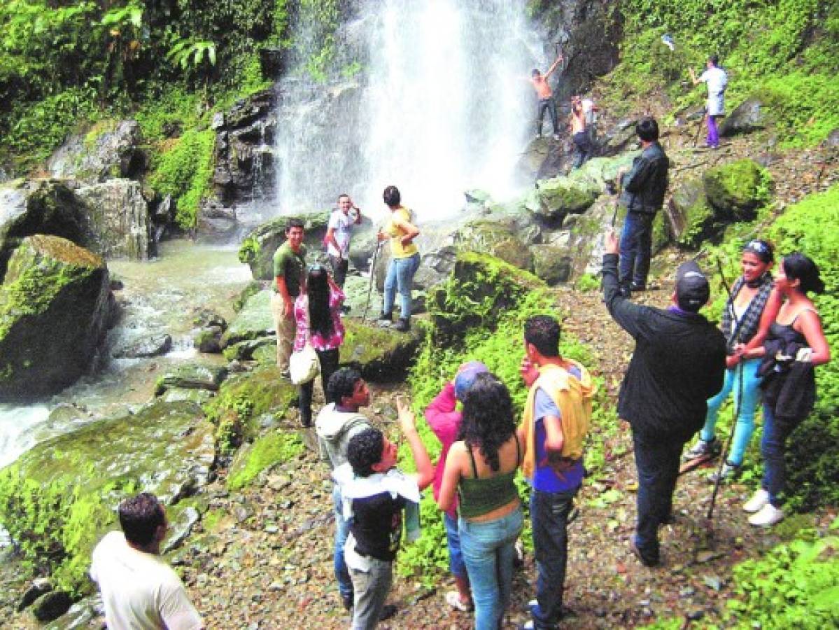 CURC hará estudio sobre flora y fauna del Panacoma