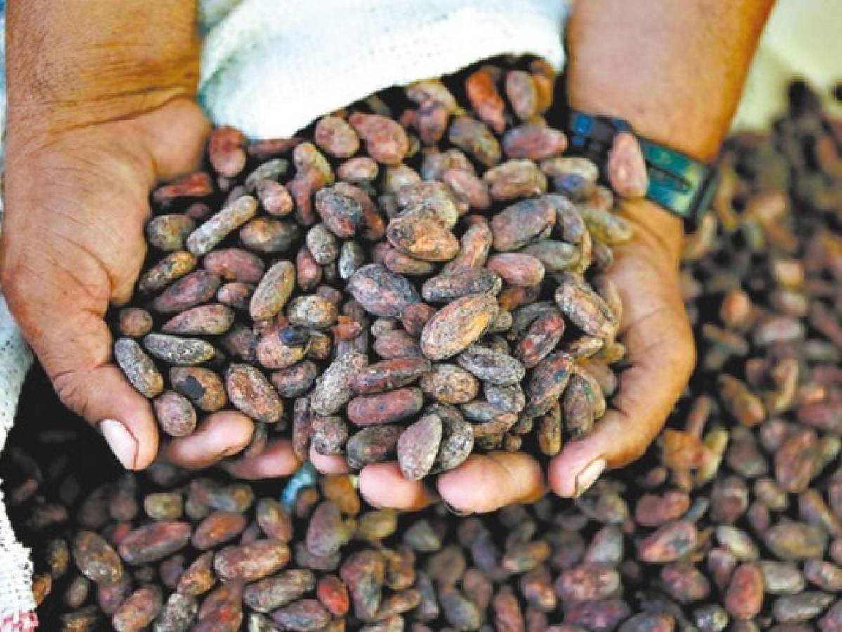 Honduras posiciona productos del agro en el mercado mundial