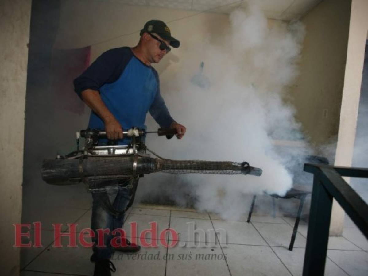 Honduras: Declararán emergencia en zona norte por dengue grave