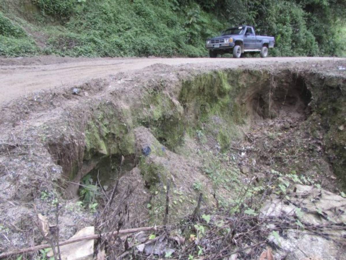 Cafetaleros preocupados por mal estado de carreteras