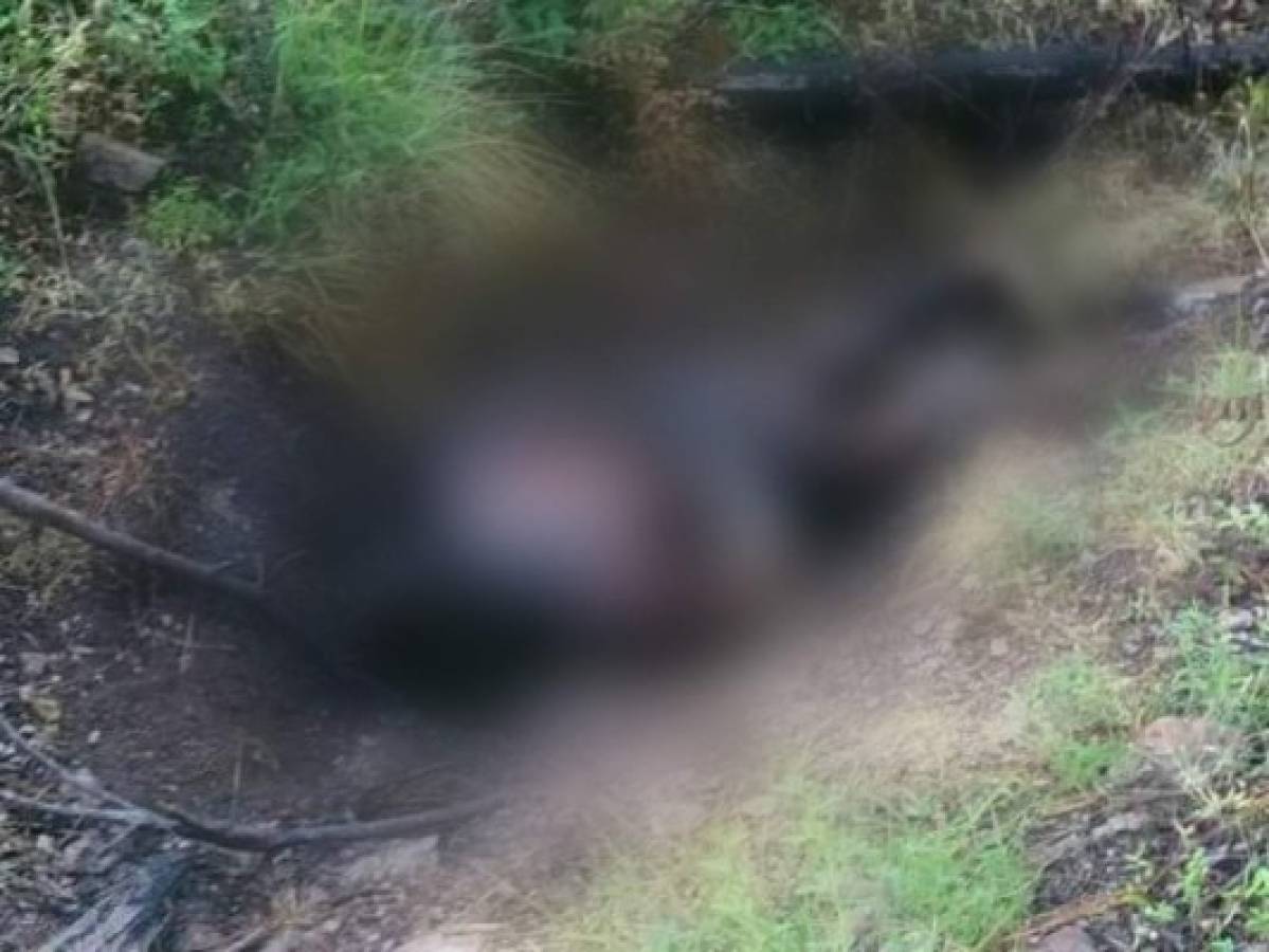 Macabro hallazgo de cadáver carbonizado en aldea El Bijagual, Olancho