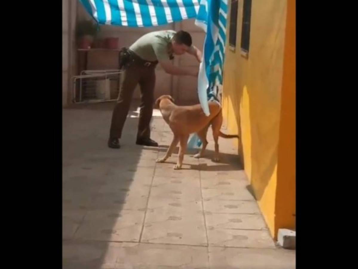 Vídeo: La reacción de una perra tras ser rescatada por un policía