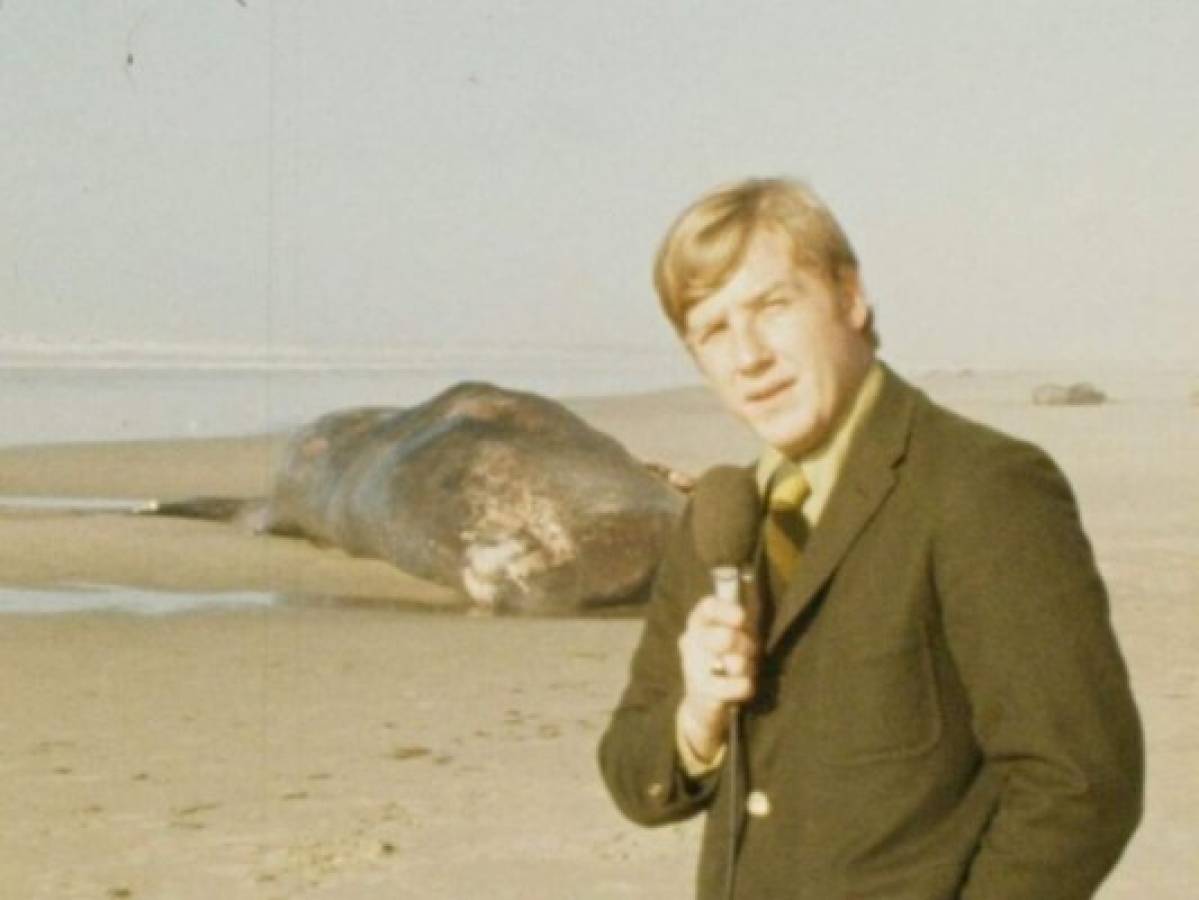 Recuerdan 50 años de la explosión de gigantesca ballena en Oregon