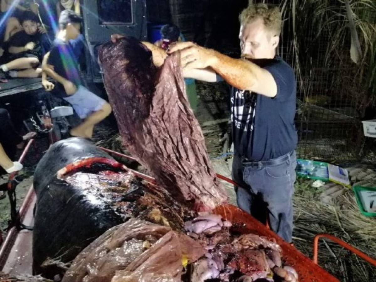 In this photo taken on March 16, 2019, Darrell Blatchley, director of D' Bone Collector Museum Inc., shows plastic waste found in the stomach of a Cuvier's beaked whale in Compostela Valley, Davao on the southern Philippine island of Mindanao. - A starving whale with 40 kilos (88 pounds) of plastic trash in its stomach has died after being washed ashore in the Philippines, activists said on March 18, calling it one of the worst cases of poisoning they have seen. (Photo by - / AFP)