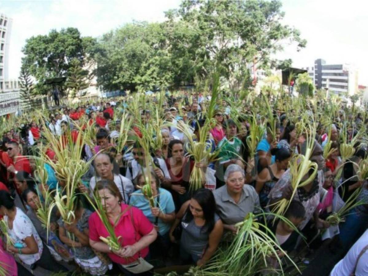 Fieles católicos se dieron cita en la Catedral Metropolitana, todos portaban su ramo para ser bendecido (Fotos: Johny Magallanes / EL HERALDO)