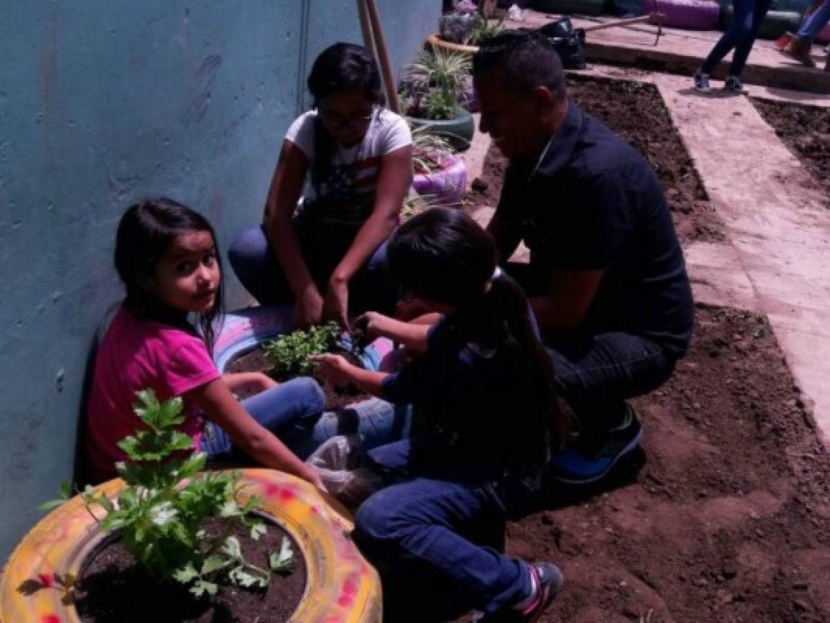 CEB San Miguel de Heredia recupera el huerto escolar en la capital