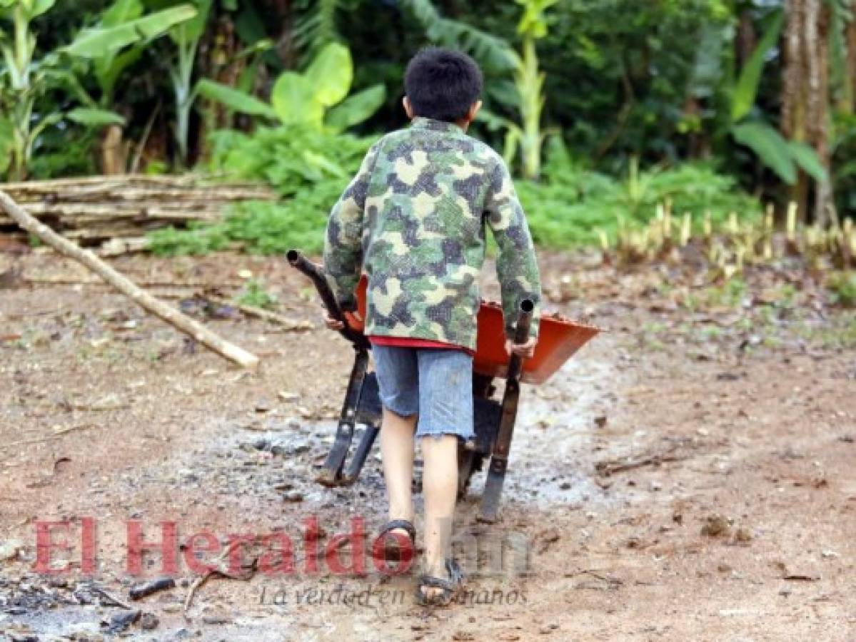 No todos los niños aprovechan su tiempo para divertirse o ir a la escuela. Foto: Marvin Salgado / EL HERALDO.