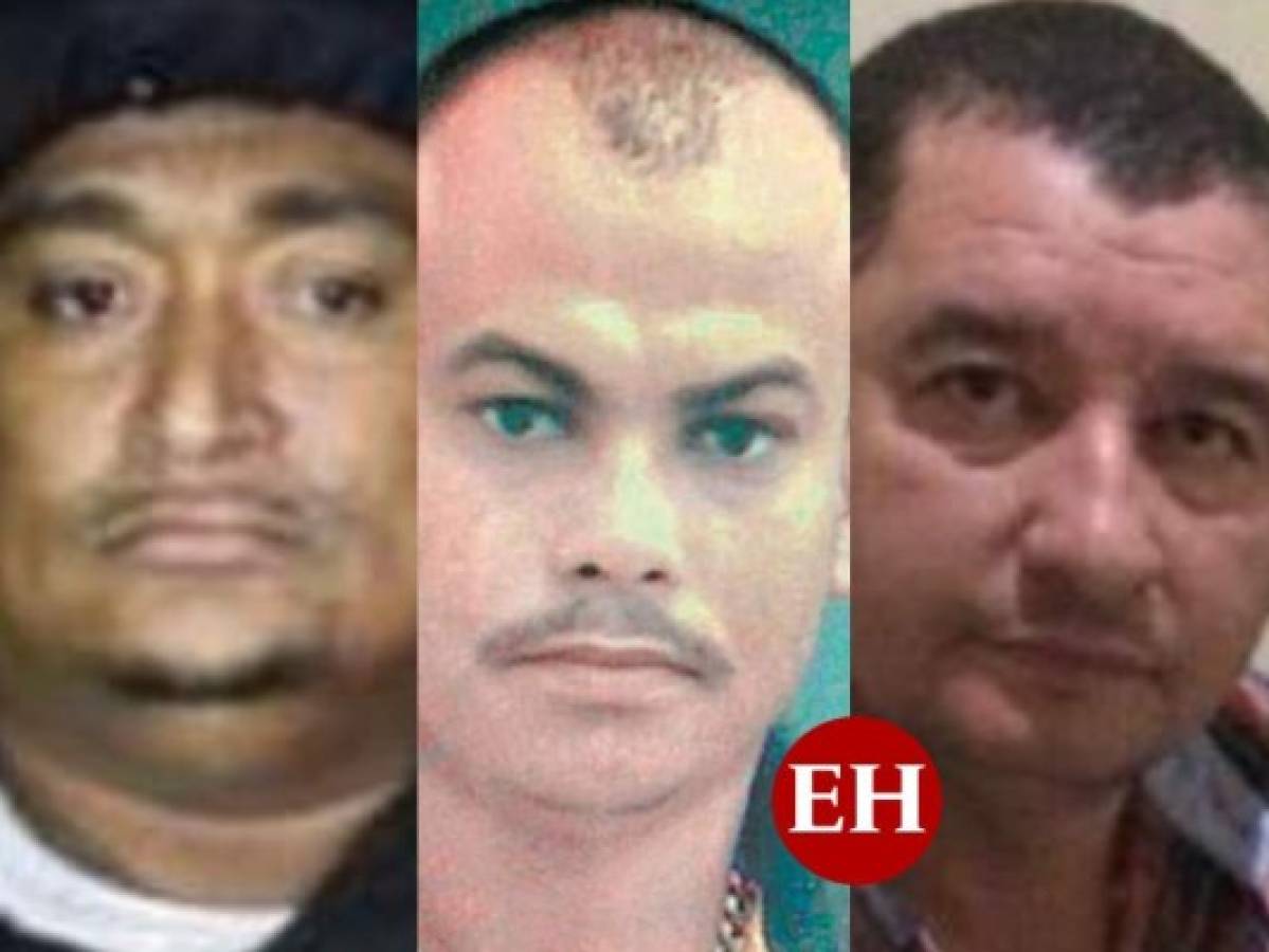 El cartel de los sapos catrachos: De narcos en Honduras a delatores en Estados Unidos