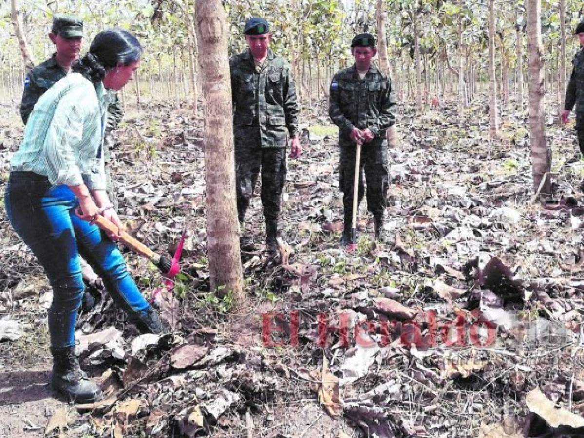 Bosque modelo, un ejemplo de conservación forestal en Danlí