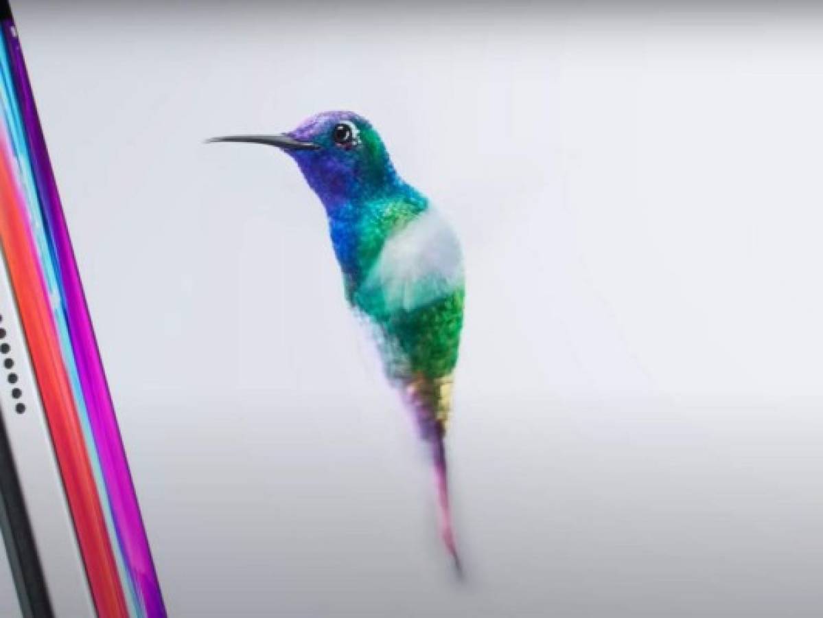Apple promociona el Ipad Pro con la belleza del colibrí esmeralda de Honduras