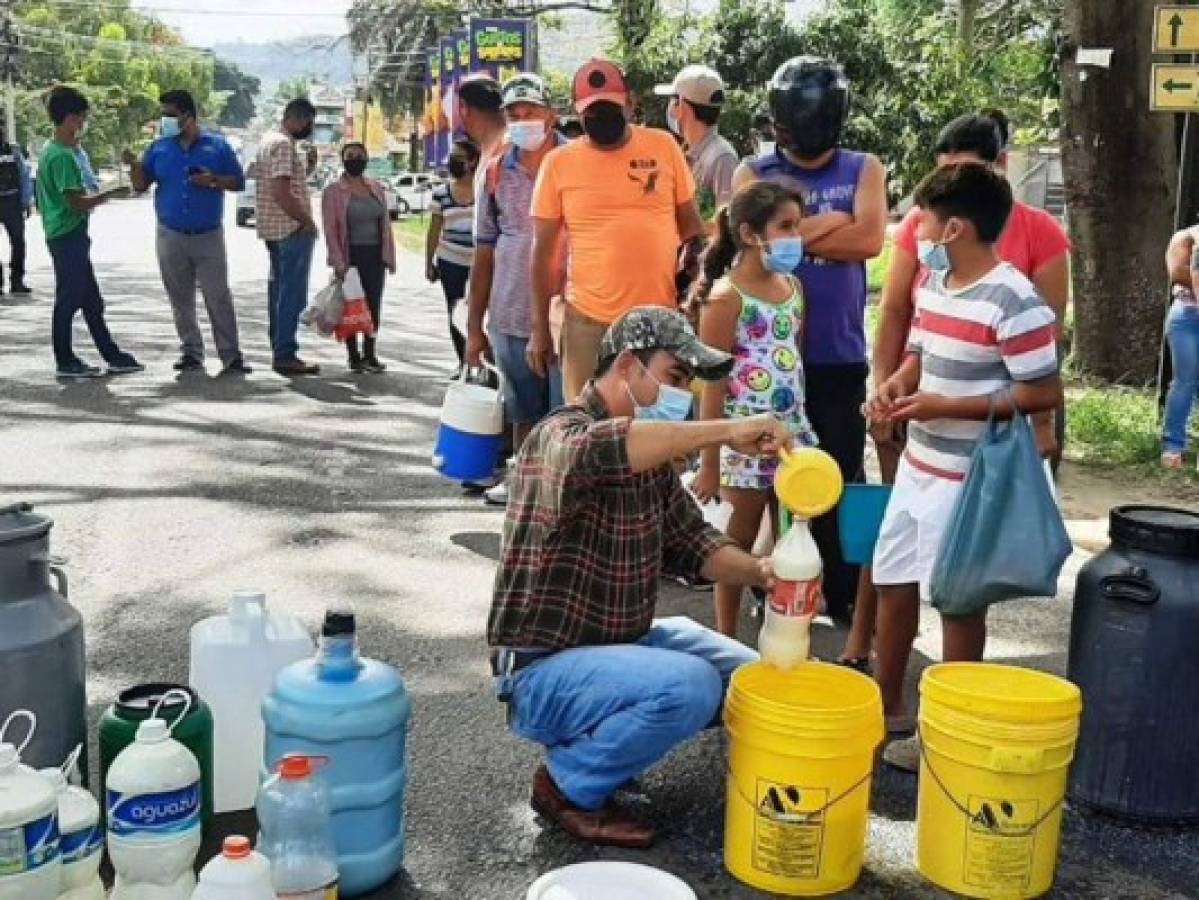 Acuerdan aumento de 2 lempiras al litro de leche en corral