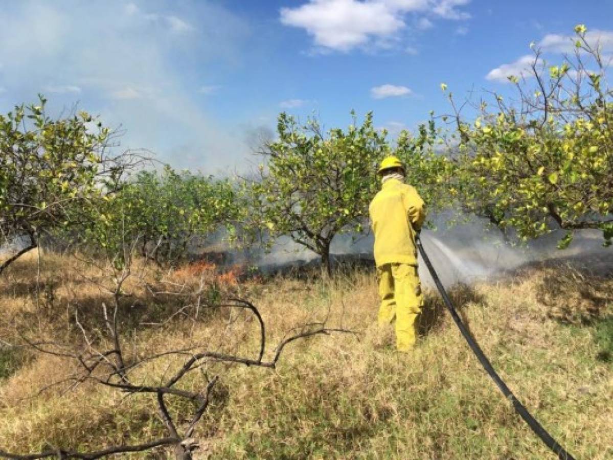 Unos 32 incendios menos registró Comayagua en 2018