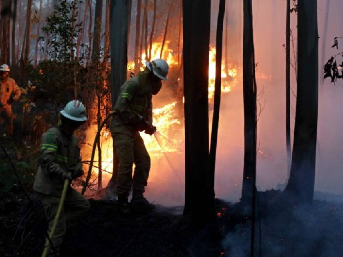 Incendio forestal en Portugal deja 62 muertos y decenas de heridos