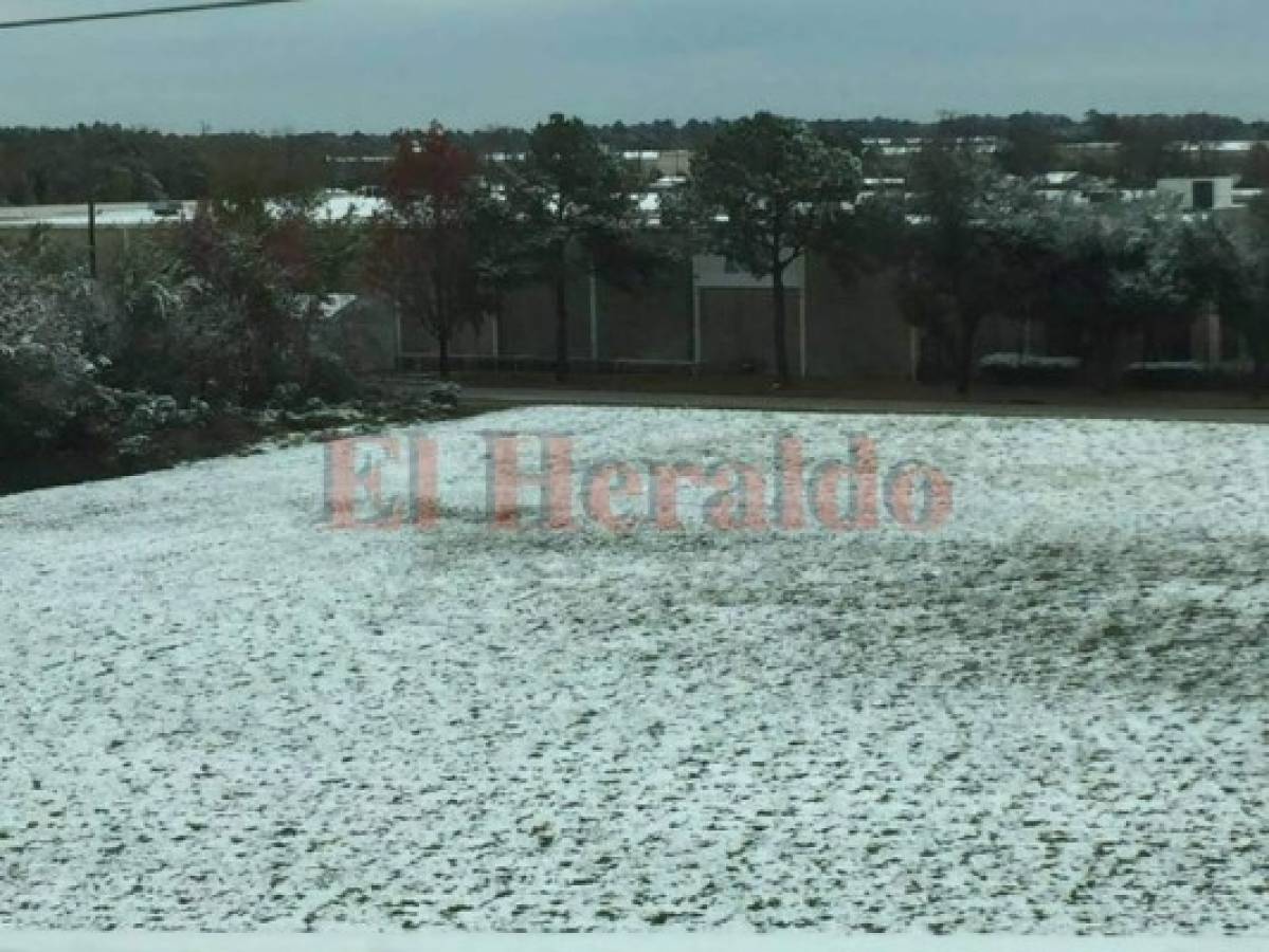 FOTOS: Hondureños en Houston, Texas, reportan sorpresiva nevada después de 9 años