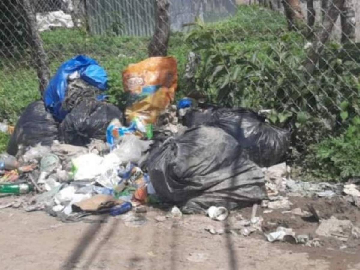 Denuncian que la ciudad de Danlí se ha convertido en botadero de basura  