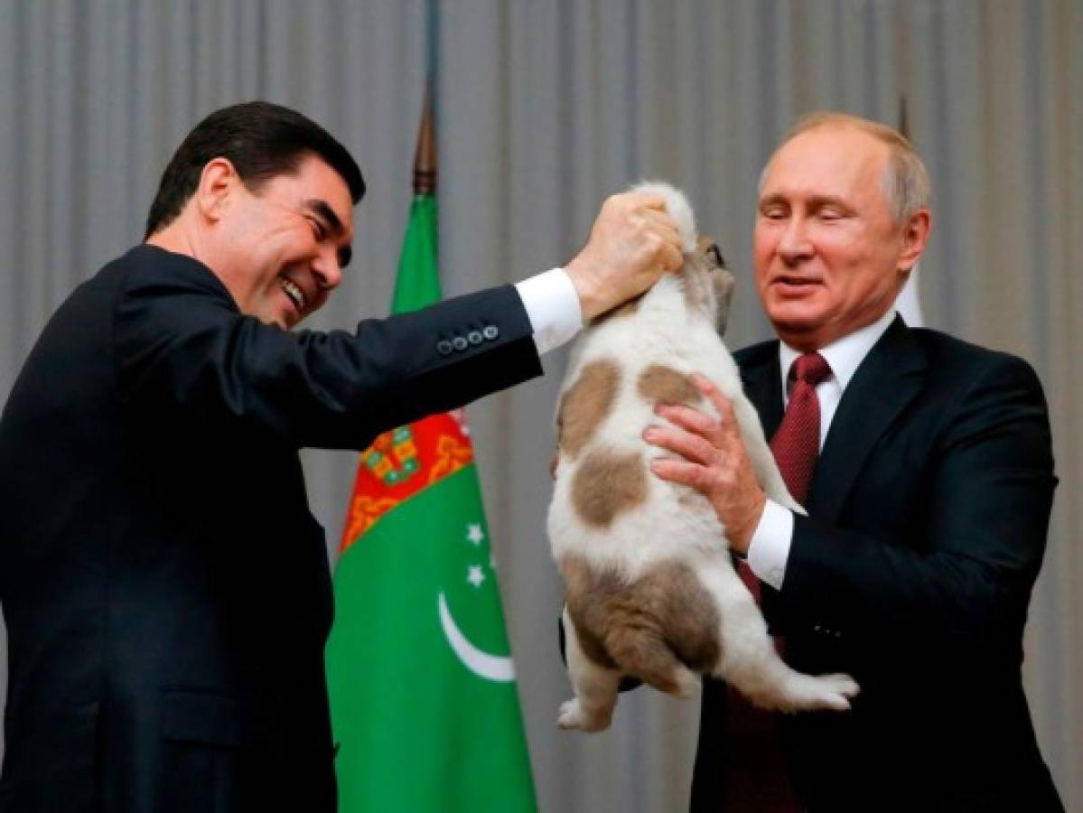 Putin, amante de los perros, recibe cachorro como regalo