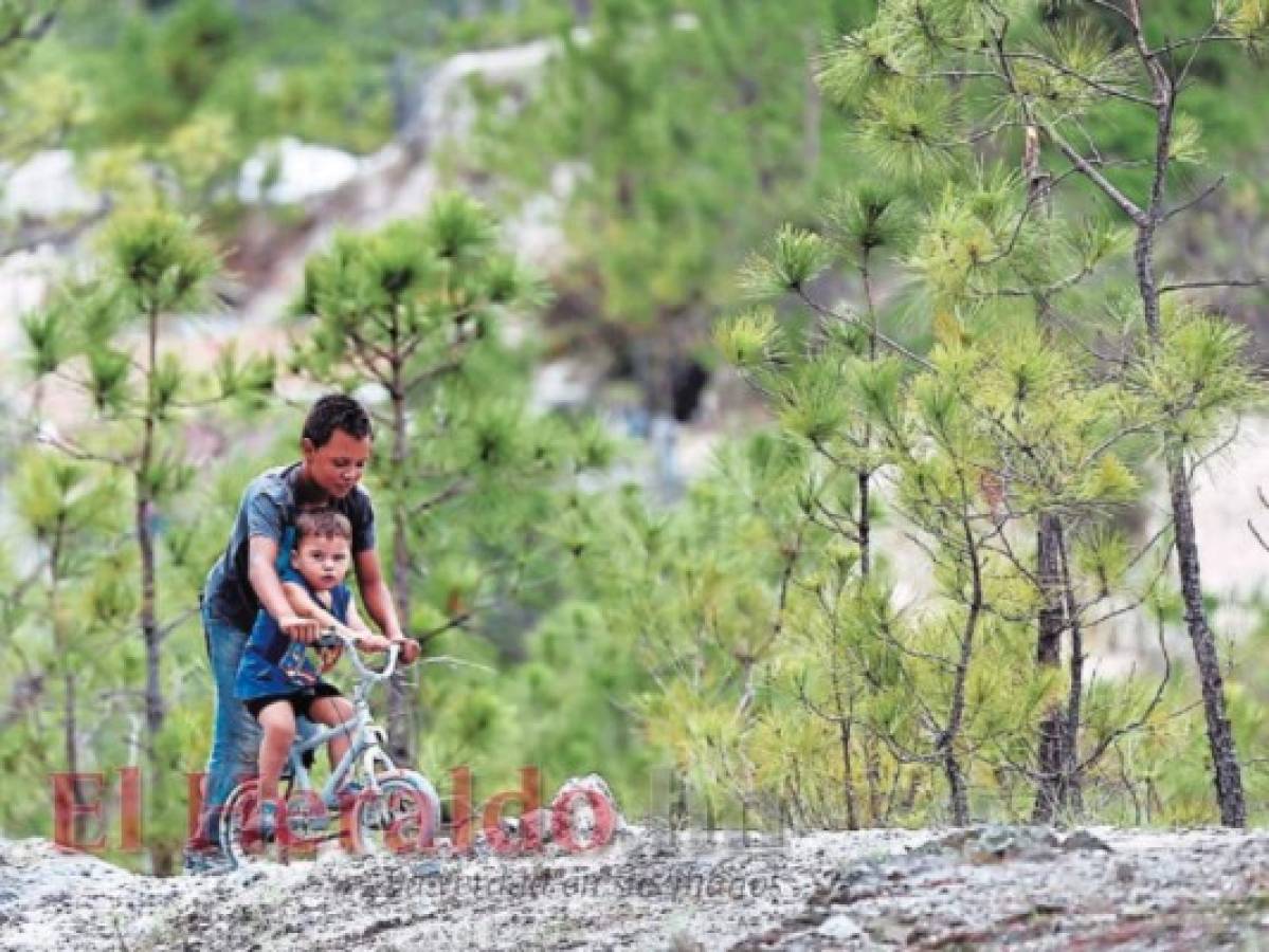 San Buenaventura, un rincón entre los pinos cerca de la capital de Honduras