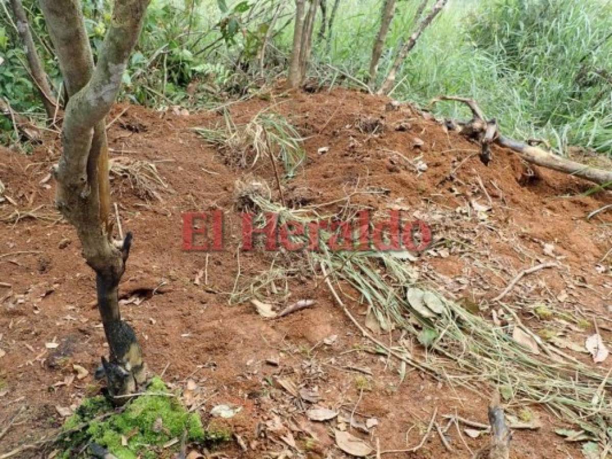 Honduras: En fosa clandestina hallan los cadáveres de tres hombres