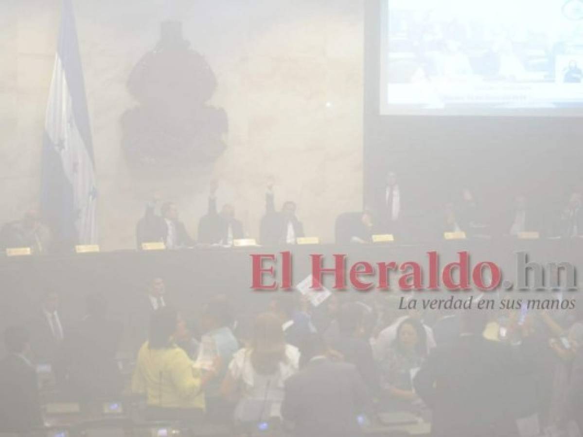 Una densa capa de humo cubrió el Congreso Nacional. Foto Marvin Salgado| EL HERALDO