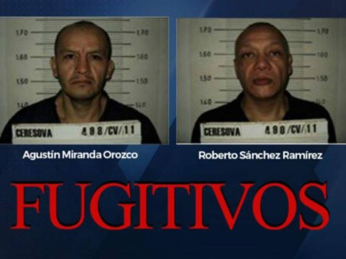 Dos reos piden ir al baño y se fugan de juzgado en México