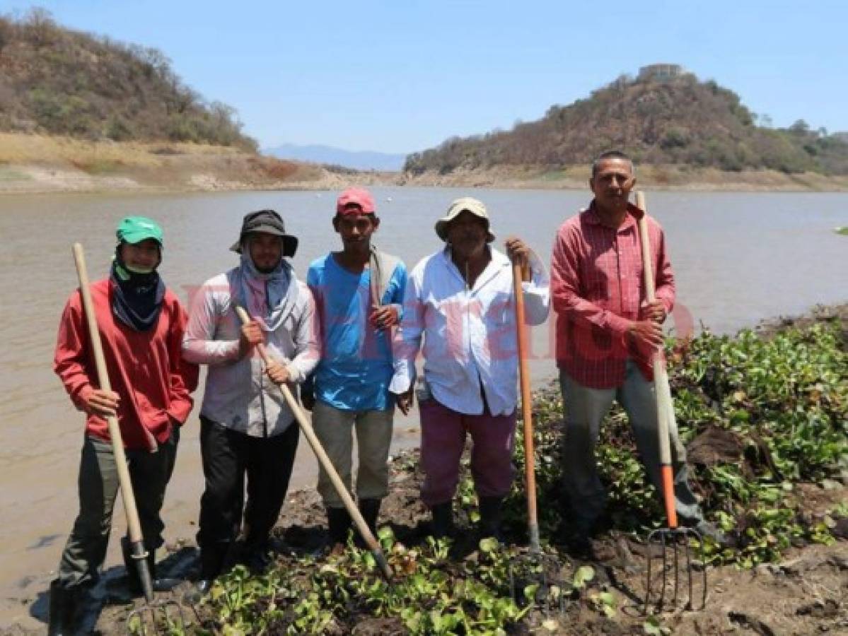 Primer filtro: los guardianes que 'limpian' y protegen el agua de los capitalinos en la represa Los Laureles